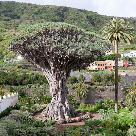 Tenohomes Oceanview With Balcony Апартаменты San Marcos (Tenerife)